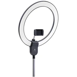 Aura Ring Floor Lamp