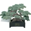 Bonsai popup-kort (Japanese black pine)