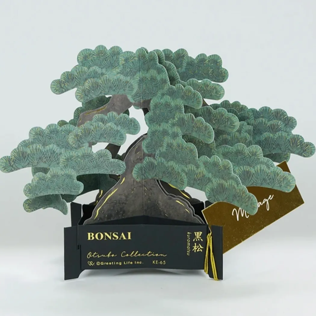 Bonsai popup-kort (Japanese black pine)