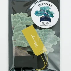 Bonsai popup-kort (Japanese black pine)