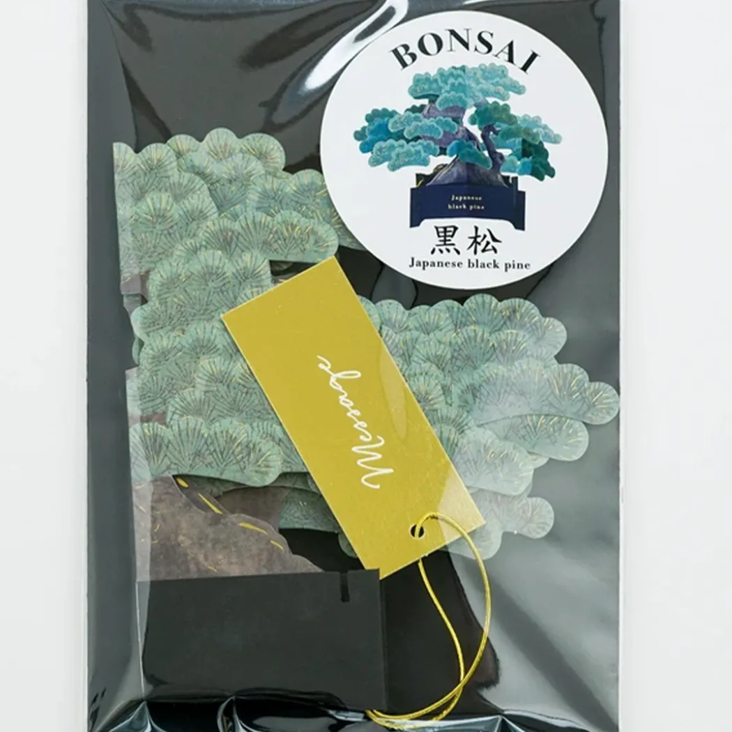 Bonsai popup-kort (Japanese black pine)