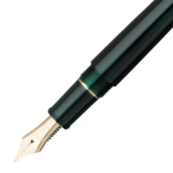 #3776 Century Reservoar Laurel Green