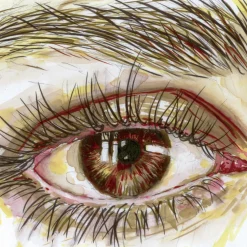 Clean Color Real Brush 6-set Portrait Colors II