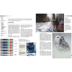 Complete Guide to Acrylics