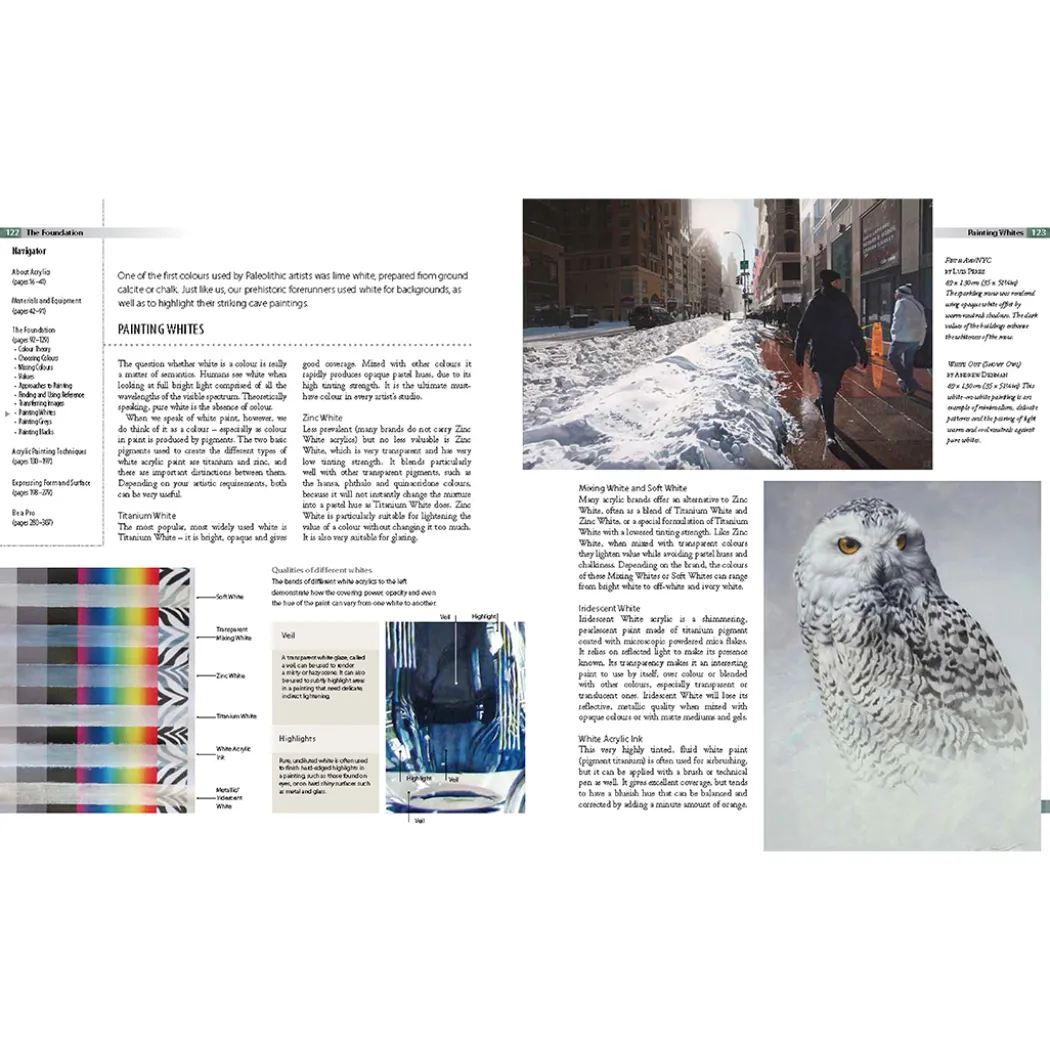 Complete Guide to Acrylics