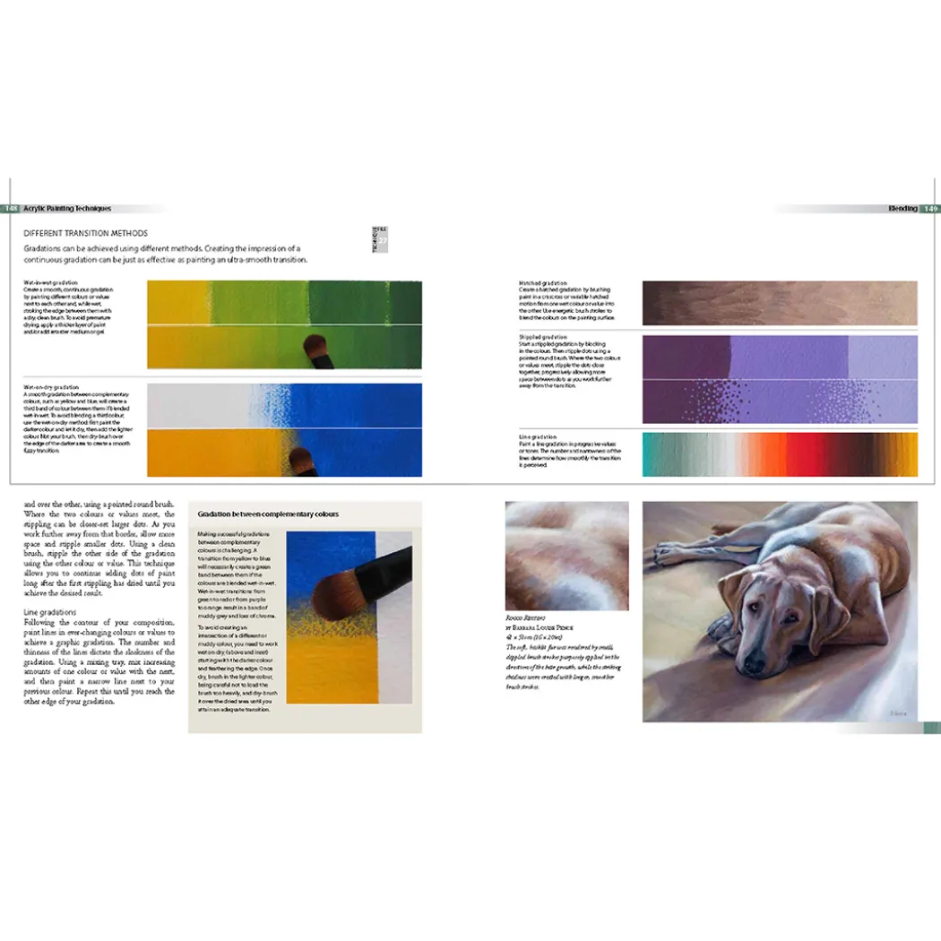Complete Guide to Acrylics