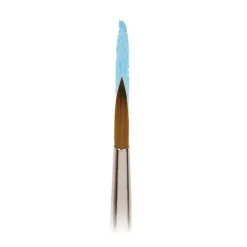 Cotman Pensel Rund 111 Strl 6