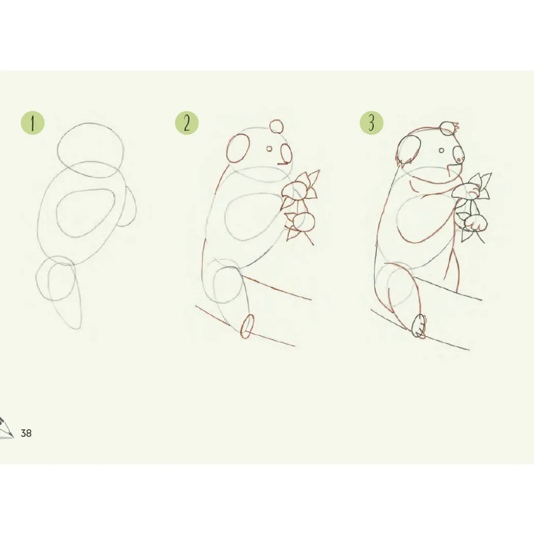 Draw 30: Animals