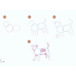 Draw 30: Animals
