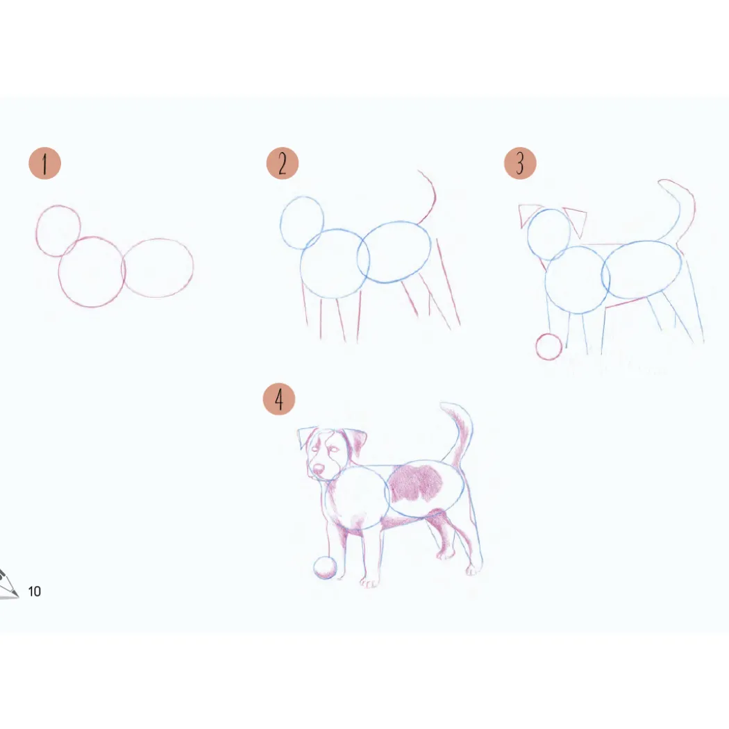 Draw 30: Animals
