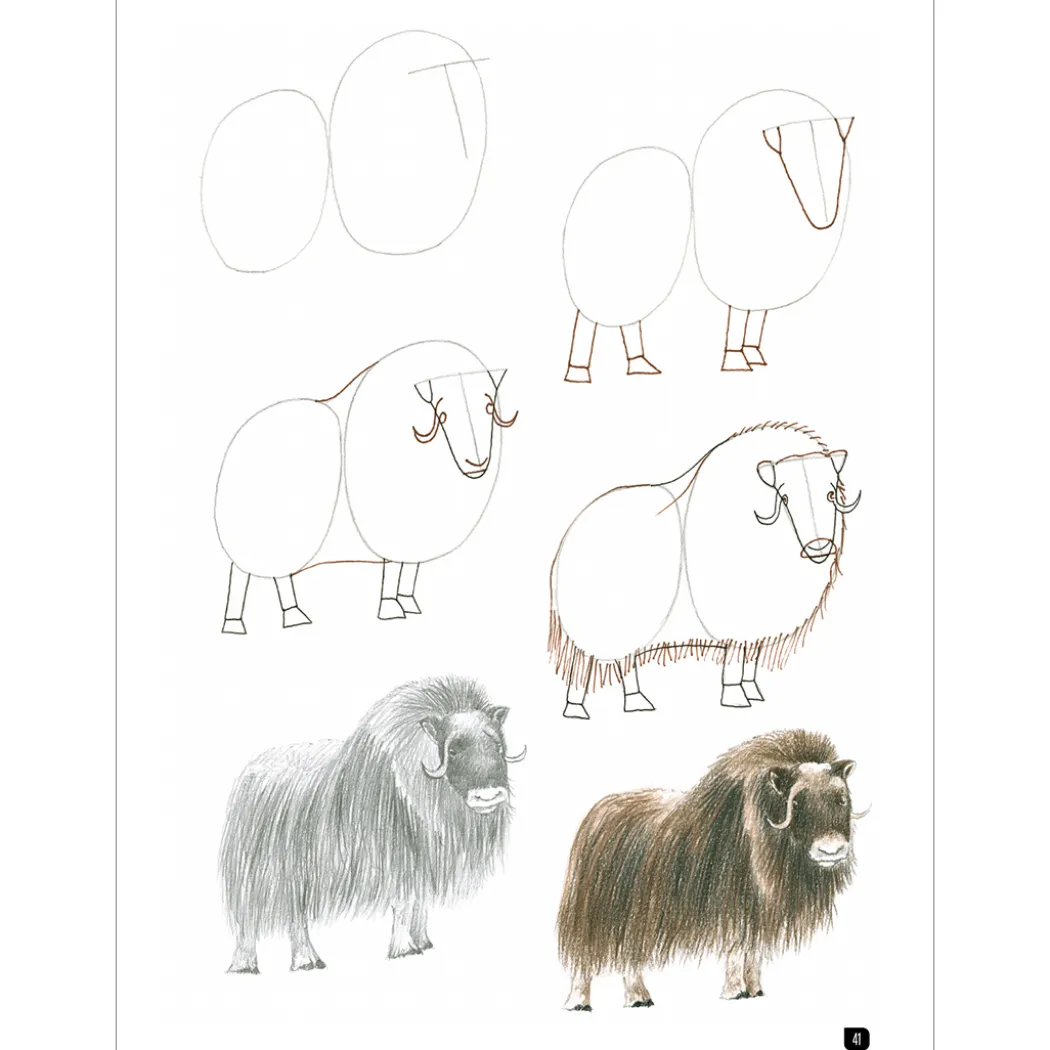 Draw 100: Animals