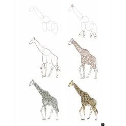Draw 100: Animals