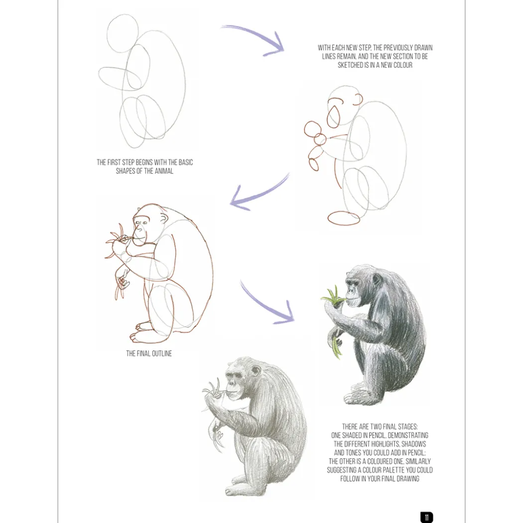 Draw 100: Animals
