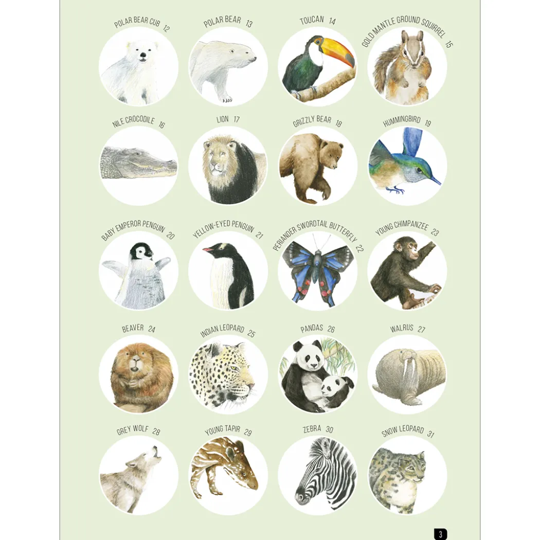 Draw 100: Animals