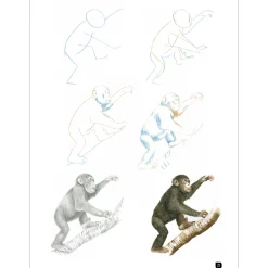 Draw 100: Animals