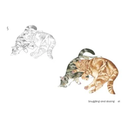 Draw 30: Cats