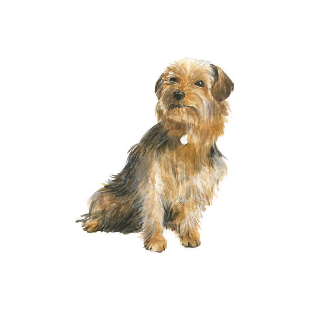 Draw 30: Dogs