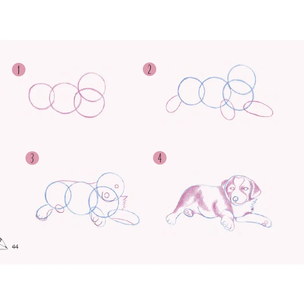 Draw 30: Dogs