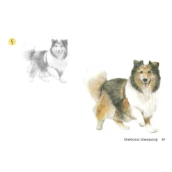Draw 30: Dogs