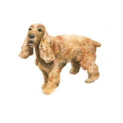 Draw 30: Dogs