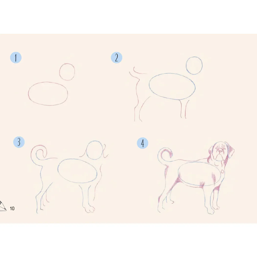Draw 30: Dogs