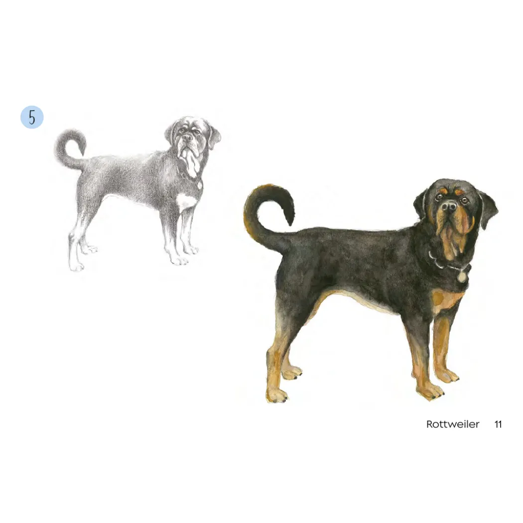 Draw 30: Dogs