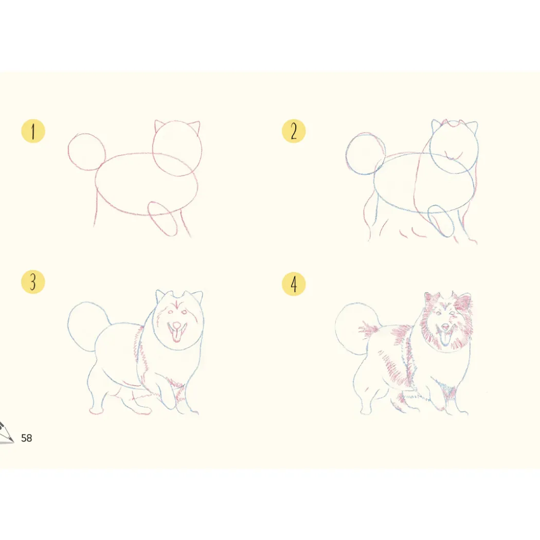 Draw 30: Dogs