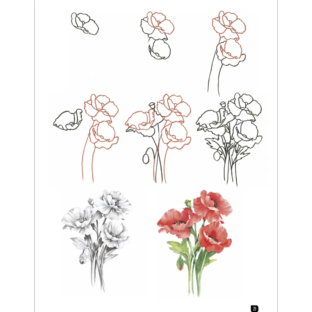 Draw 100: Flowers