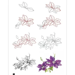 Draw 100: Flowers