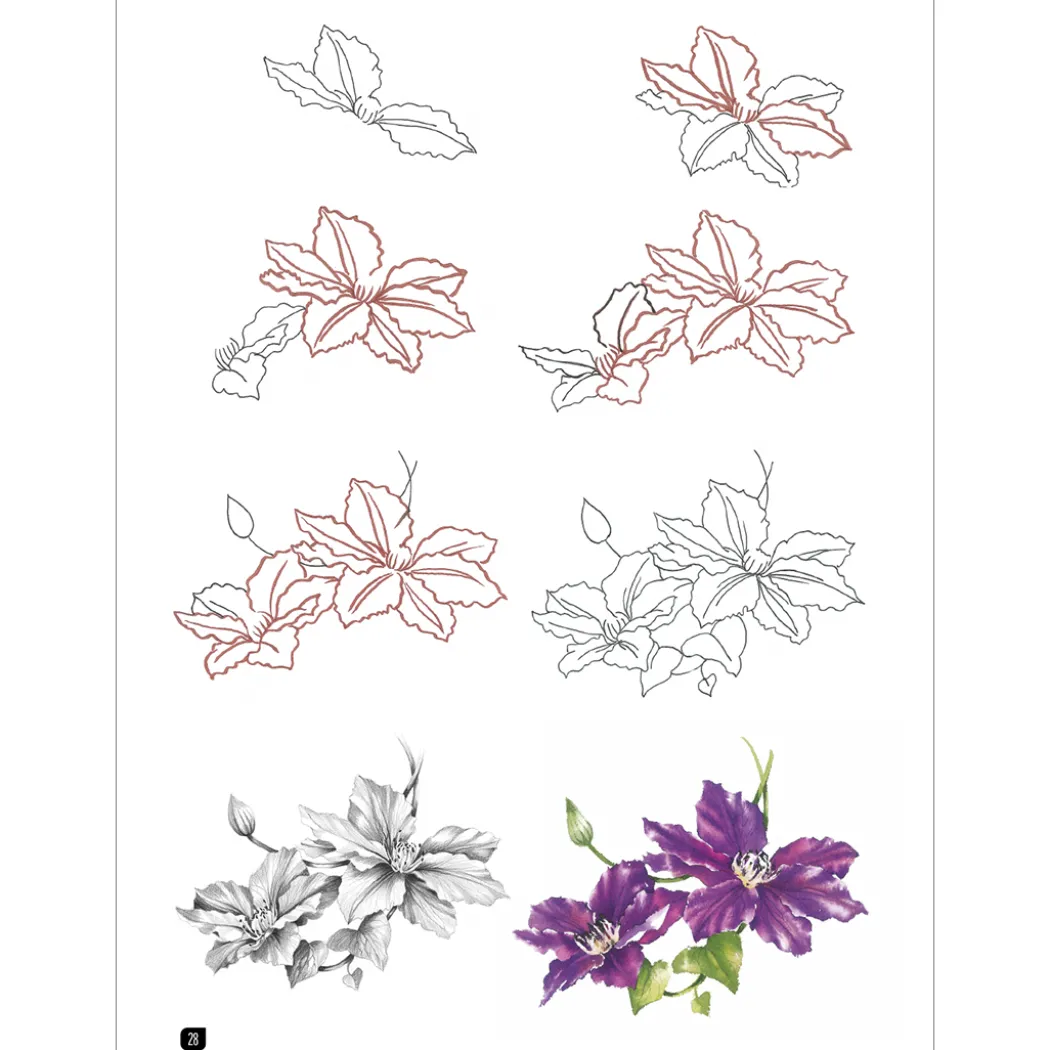 Draw 100: Flowers