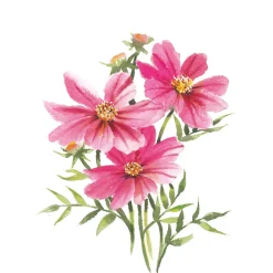 Draw 30: Flowers
