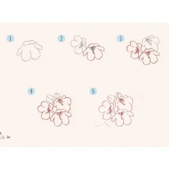 Draw 30: Flowers