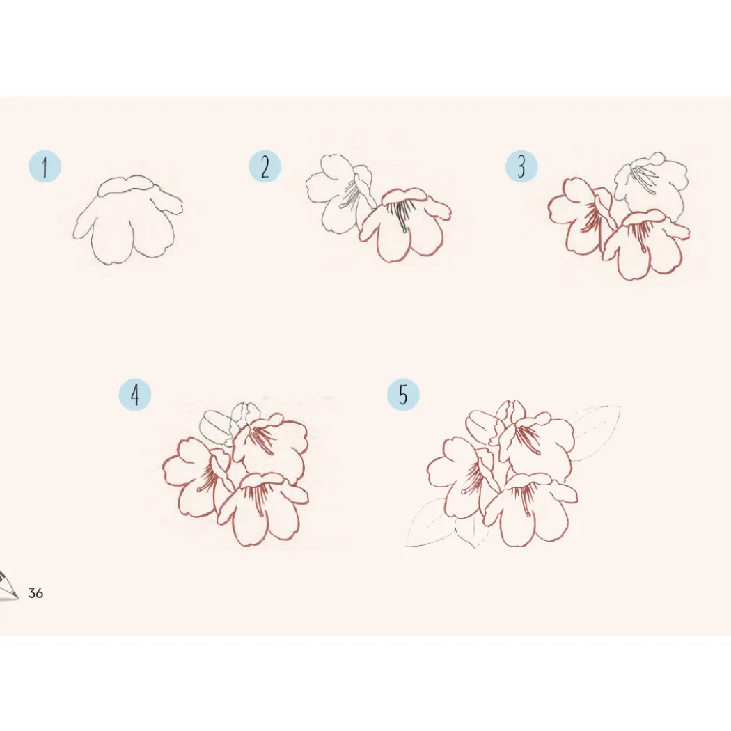 Draw 30: Flowers
