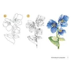 Draw 30: Flowers