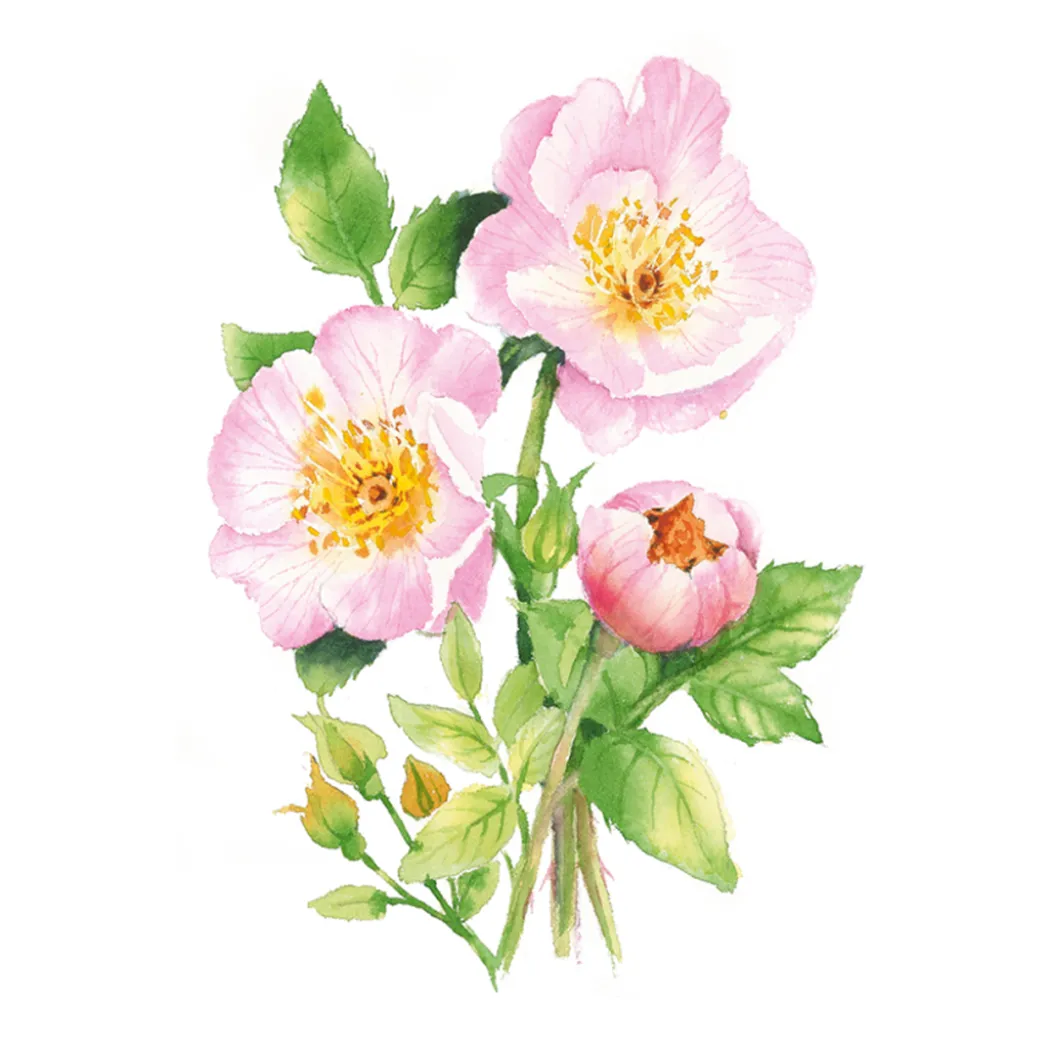 Draw 30: Flowers