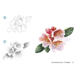 Draw 30: Flowers