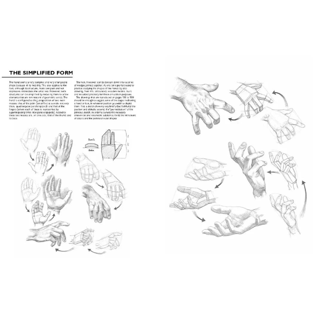 Drawing: A Complete Guide