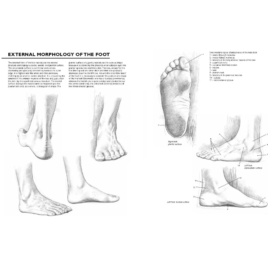 Drawing: A Complete Guide