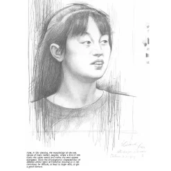 Drawing: A Complete Guide