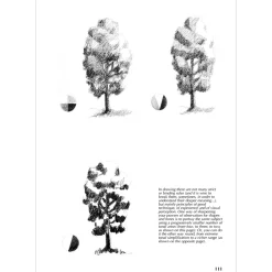 Drawing - A Complete Guide: Nature
