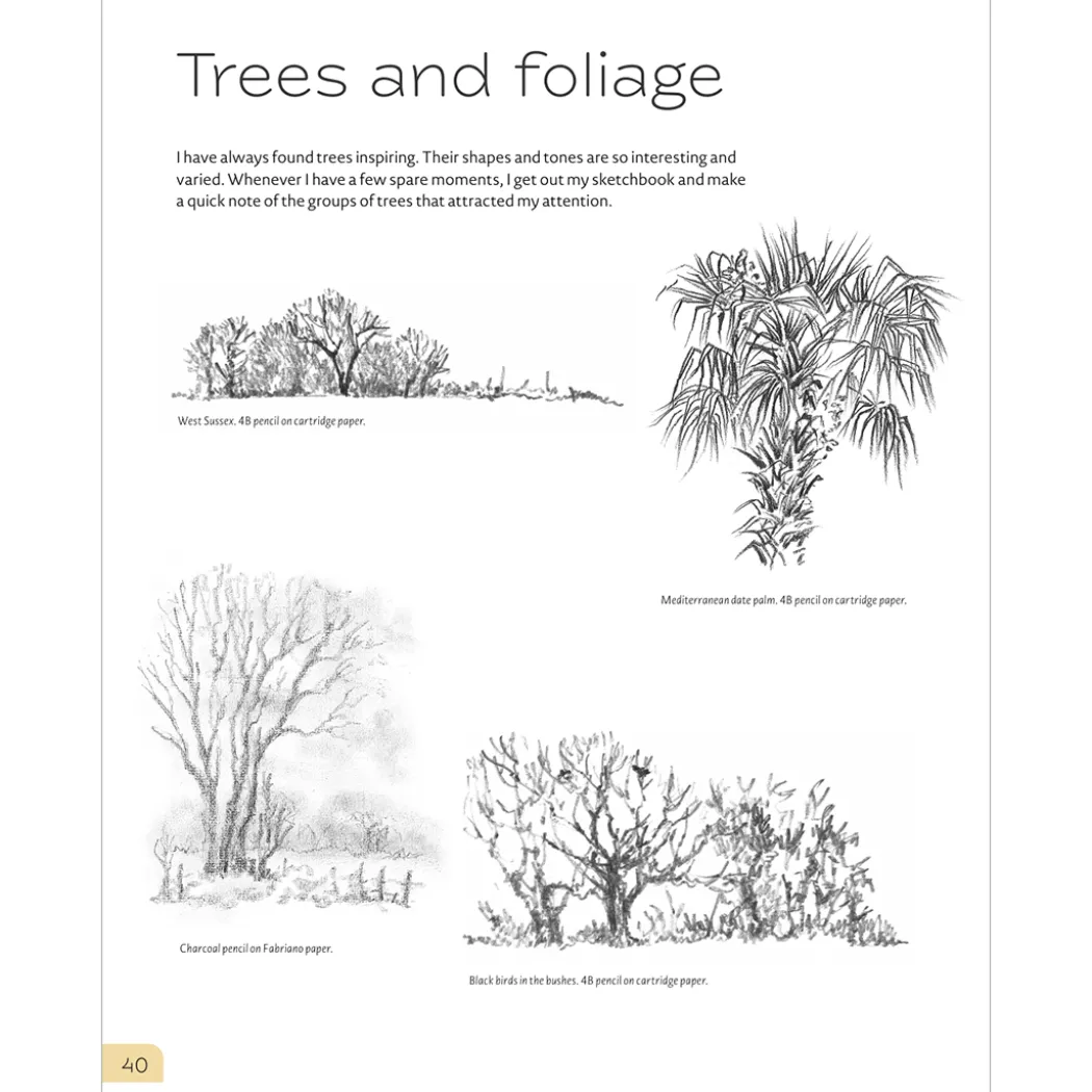 Drawing Landscapes