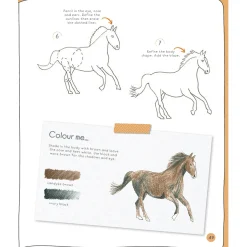 Draw in 10 Minutes: Animals
