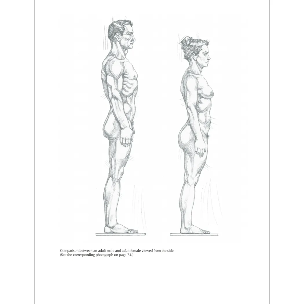 Figure Drawing: A Complete Guide