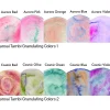 Gansai Tambi Akvarell 5-set Granulating Colors 2