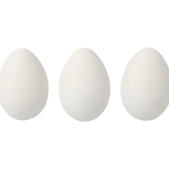 Ägg Vita 12-pack