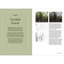 How to Draw a Tree: from the Fruit to the Forest
