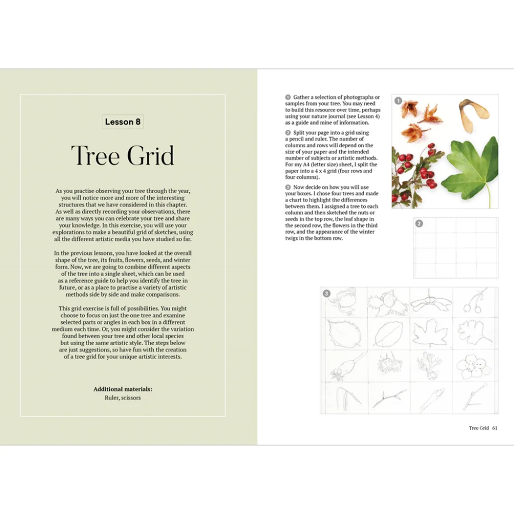 How to Draw a Tree: from the Fruit to the Forest