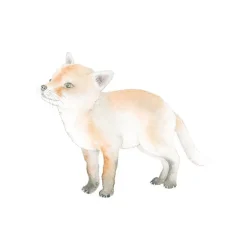 How to Draw: Baby Animals