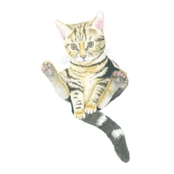 How to Draw: Baby Animals
