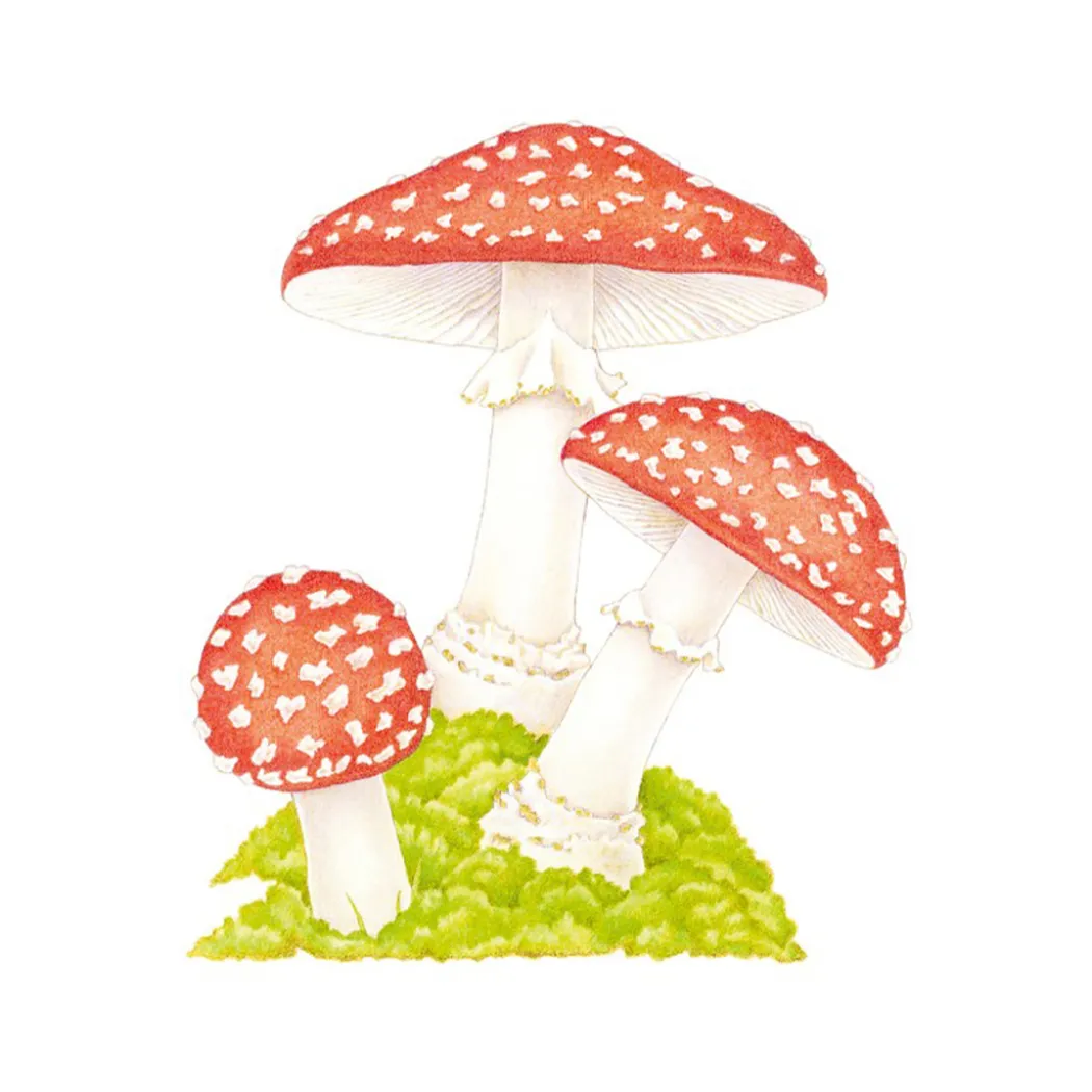 How to Draw: Nature